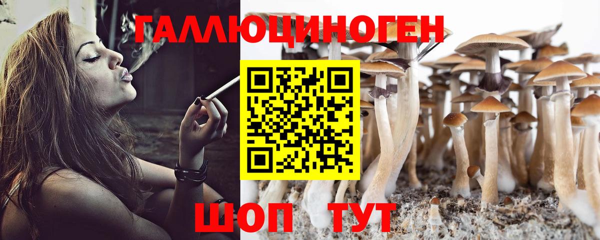Псилоцибиновые грибы Psilocybine cubensis Челябинск