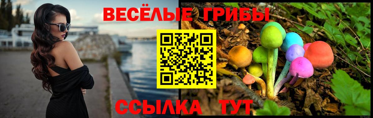 Челябинск  Псилоцибиновые грибы Magic Shrooms  Вход с VPN  Галлюциногенные грибы GOLDEN TEACHER 